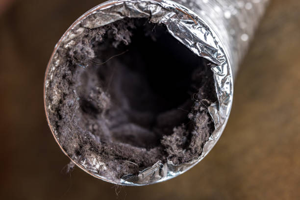 Best Ductwork Cleaning Services  in Arabi, LA