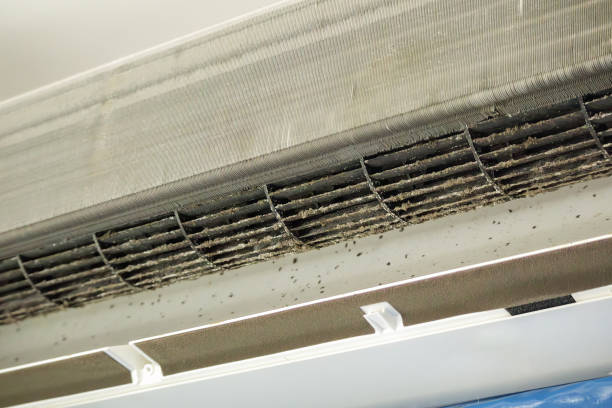 Best Home Air Vent Cleaning  in Arabi, LA